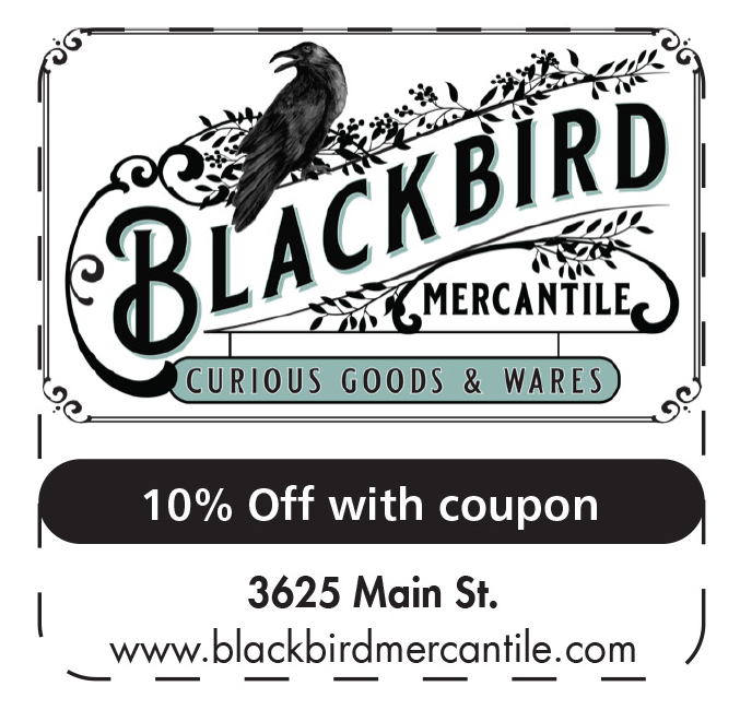 Blackbird merch